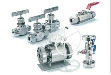 Instrument Valve